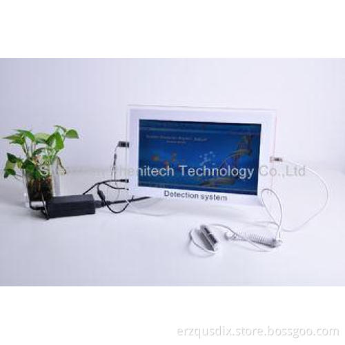 Economic Portable Human Body Quantum Health Analyzer Machin